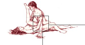 las posturas del amor - la provocadora las posturas del amor - la provocadora